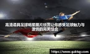 小因扎吉：你是谁？内斯塔：先吃我一耳光#足球